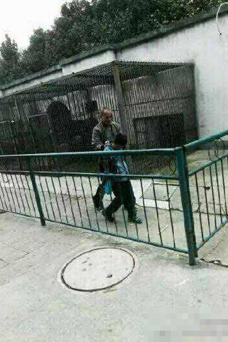 9岁男童右臂被黑熊咬掉 园方无人去医院看望(图)