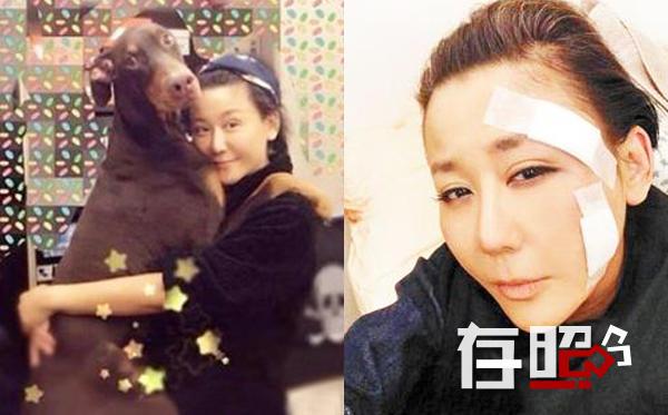 【存照】娱乐圈霸道萌宠 谢霆锋曾悬赏10万寻乌龟