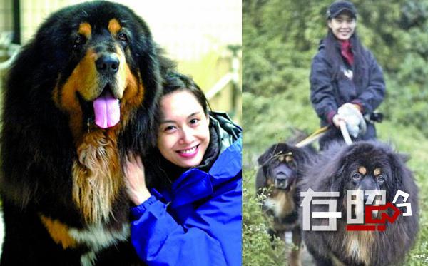 【存照】娱乐圈霸道萌宠 谢霆锋曾悬赏10万寻乌龟