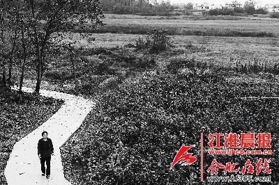 男子自费为留守老人修路:人没在家路得修到家