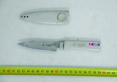 ��ծ��Ѱ������ ͱ��Ů�ھӻѳ���ɱ���ݻ�