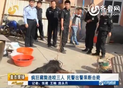 ���ʷ�������ҧ���� �񾯿�ǹ�й��ع�