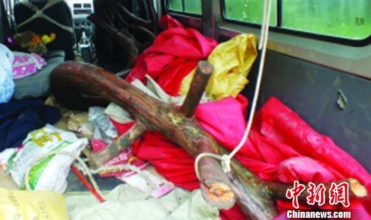 �����Ż��ʡ��1000���׸���͵����ľ