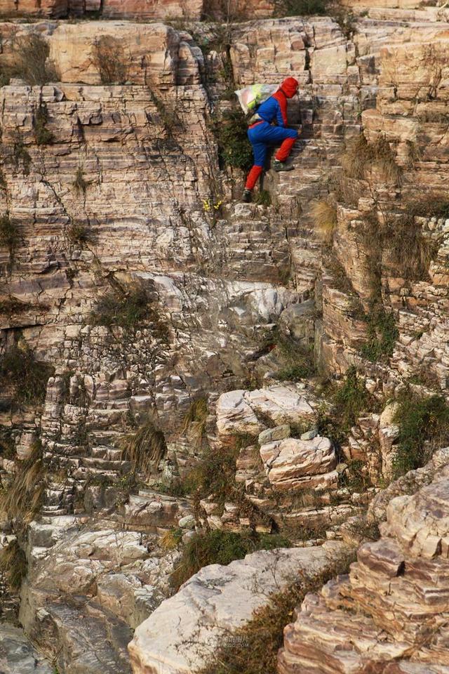 ��ͼ�����Ͼ�����������֩���������ϼ�����