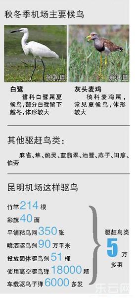 ����������չ�����ж� ǧֻ���౻�ϳ�