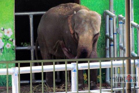 �̵���궯��԰�Ұ����ϻ�ҧ����� Զ����������