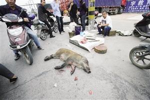 ���ӵ��ְںõ��Ͱ������Ұ�� ��30����Χ��